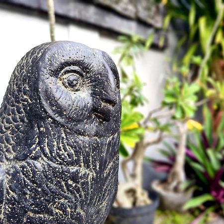 Panda Lumbung Bed & Breakfast Sanur Exterior foto