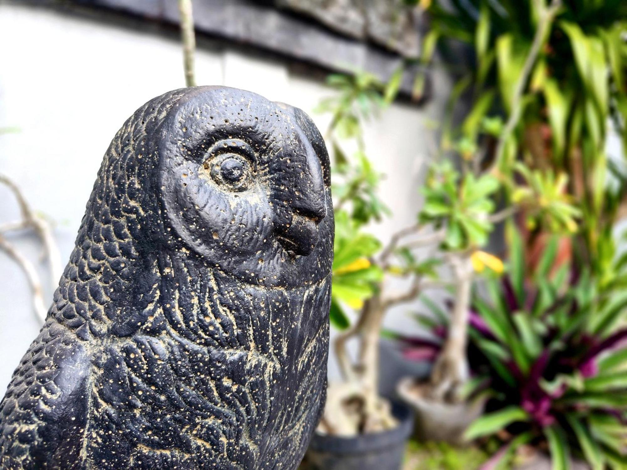 Panda Lumbung Bed & Breakfast Sanur Exterior foto
