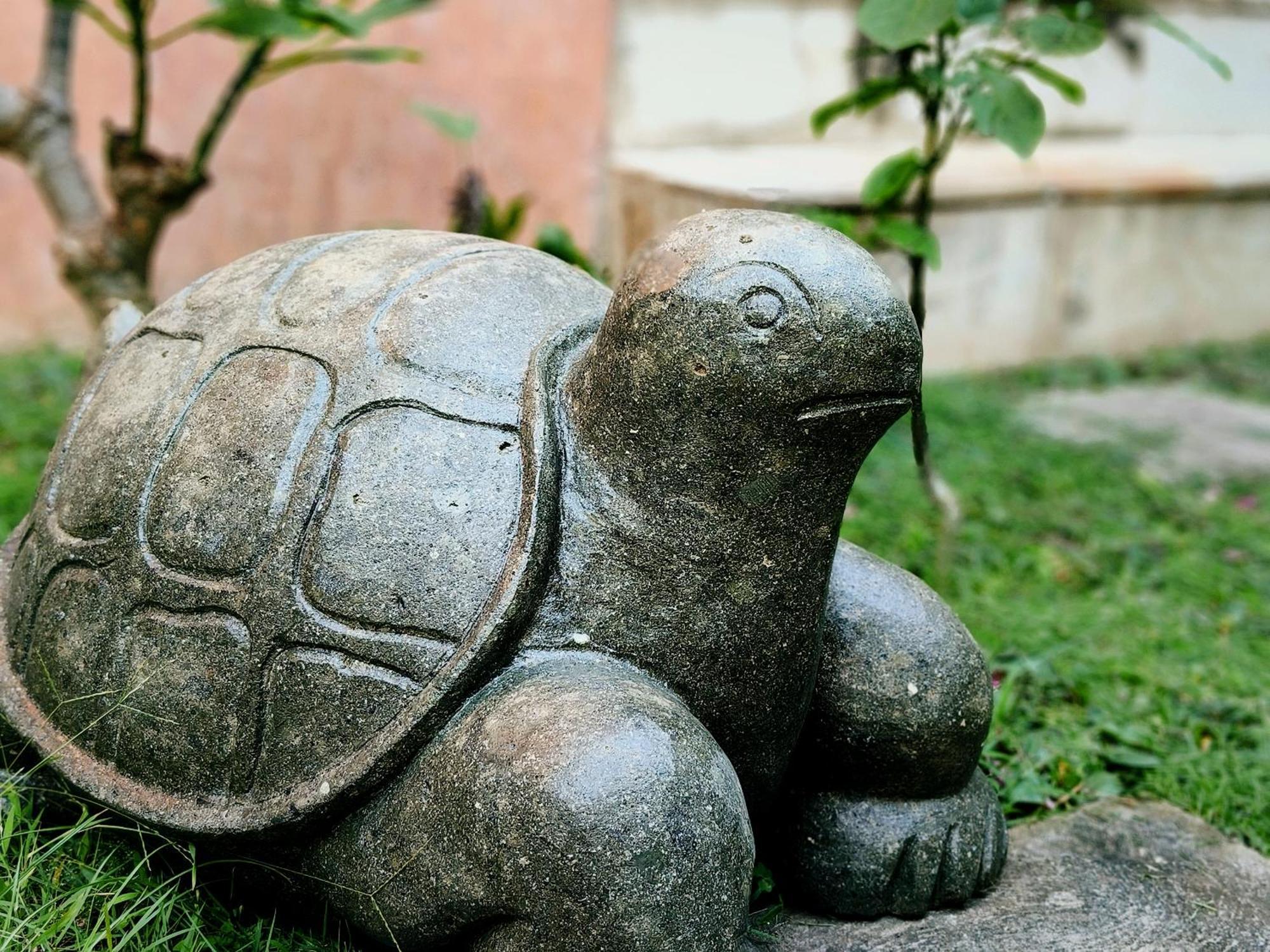 Panda Lumbung Bed & Breakfast Sanur Exterior foto